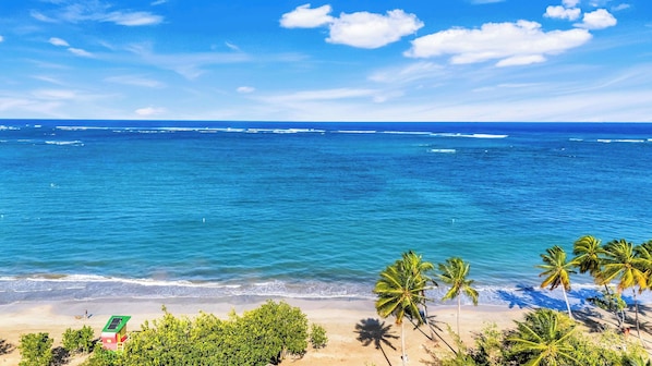 A beach with clear blue water, palm trees, and a small building with a green roof.