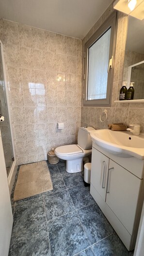 Hair dryer, bidet, towels, soap