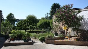 A garden with various potted plants, a tree with purple flowers, and a brick wall.