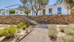 A modern house with a stone wall, a gravel pathway, and various plants. - Luxury standards in great location (Kostos)