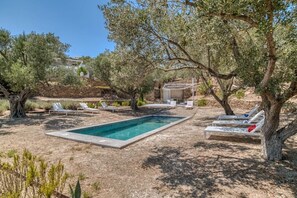 A pool area with lounge chairs, a small building, and olive trees.