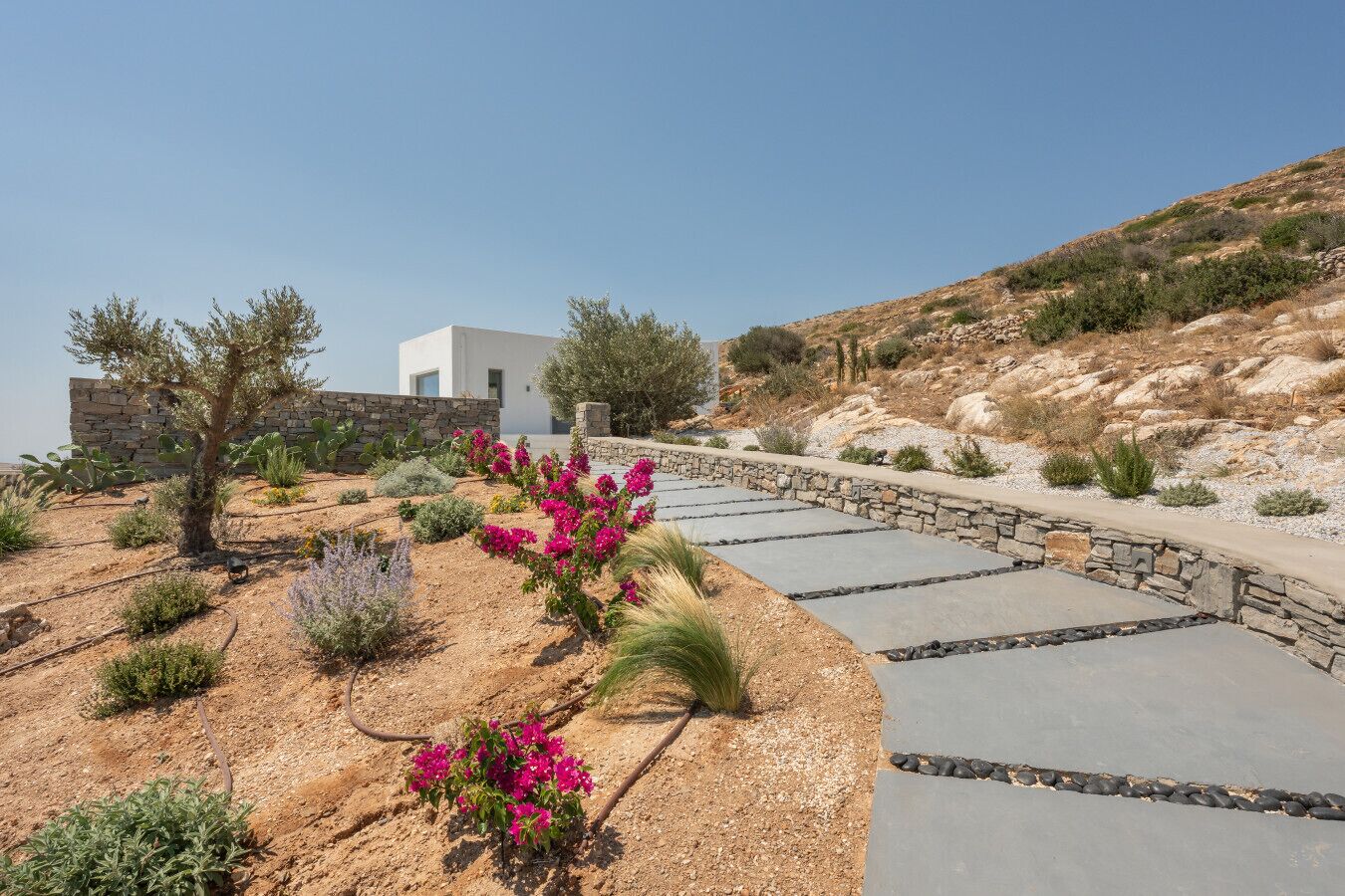 A modern building with a stone facade, surrounded by a landscaped garden with various plants and a stone pathway.