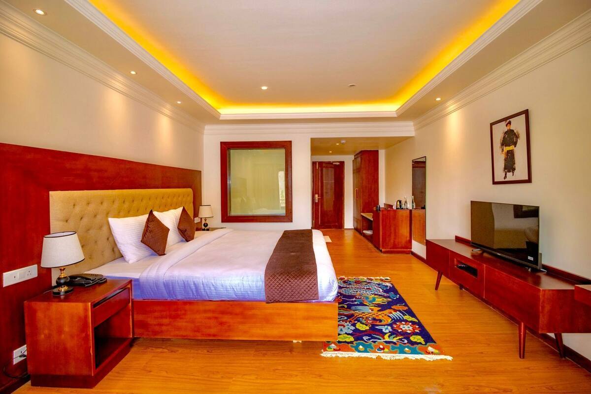Habitación de hotel con una cama grande, televisión, escritorio y armario.