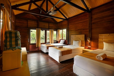 Down comforters, free WiFi