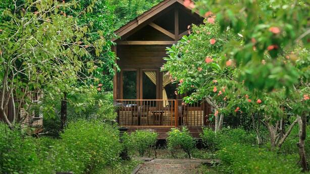 A wooden cabin surrounded by lush greenery and a wooden deck. - Plengkung Lodge G-land (Kalipait)