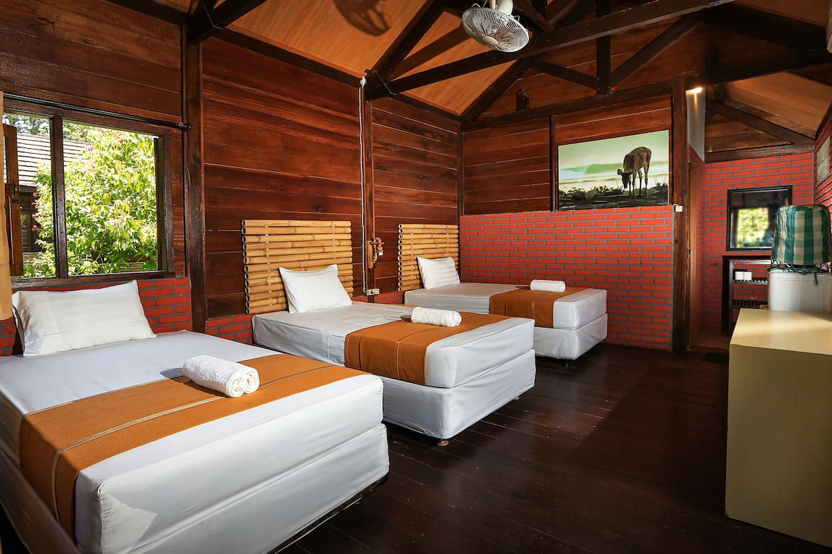 Basic Double or Twin Room | Down duvets, free WiFi