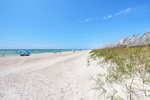 Nära stranden