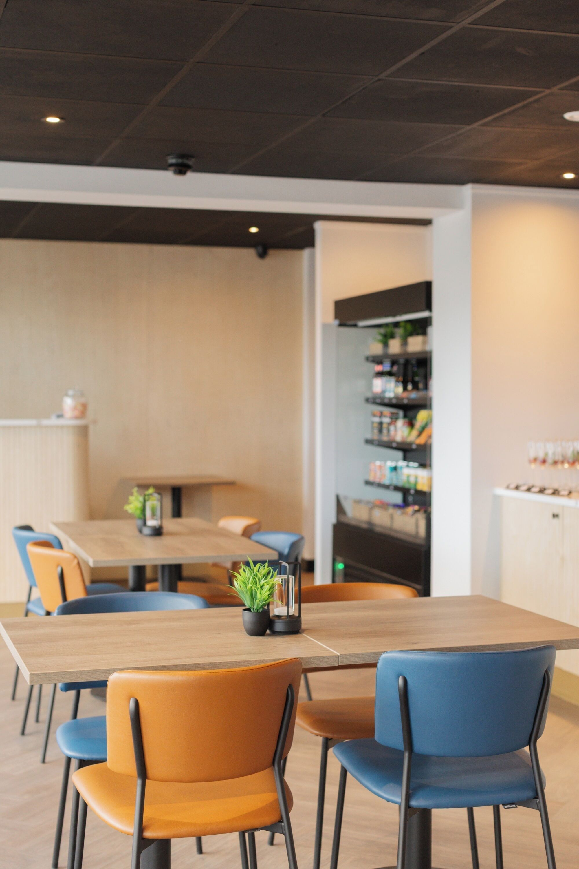 A modern dining area with a wooden table and chairs, a small plant, and a shelf with various items.