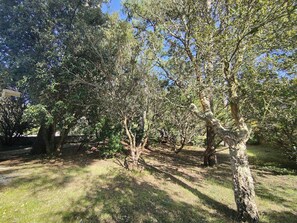 Unclassified image, 2 of 13, button