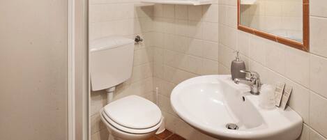 A bathroom with a white toilet, a sink with a mirror, and a shower area.