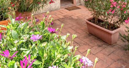 Massa Alta B&B e Appartamenti