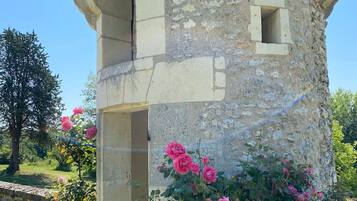 Detalle del exterior