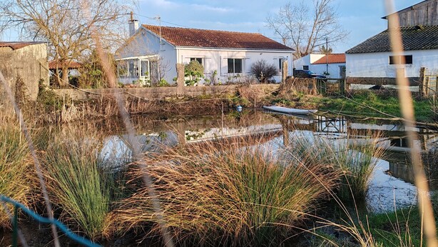A rustic house with a tiled roof, a small pond, and overgrown vegetation. - Rustic cottage in Vendée Marshes, near beaches (Sallertaine)