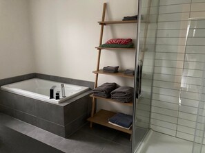 Shower, hair dryer, towels