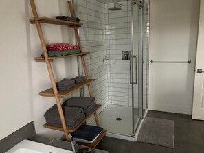 Shower, hair dryer, towels