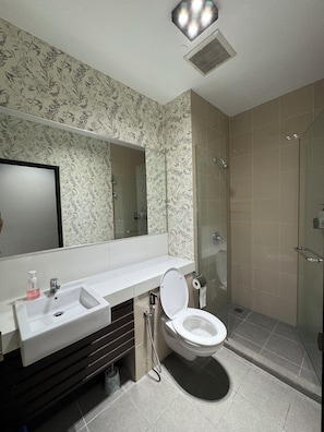 Hair dryer, bidet, towels, soap