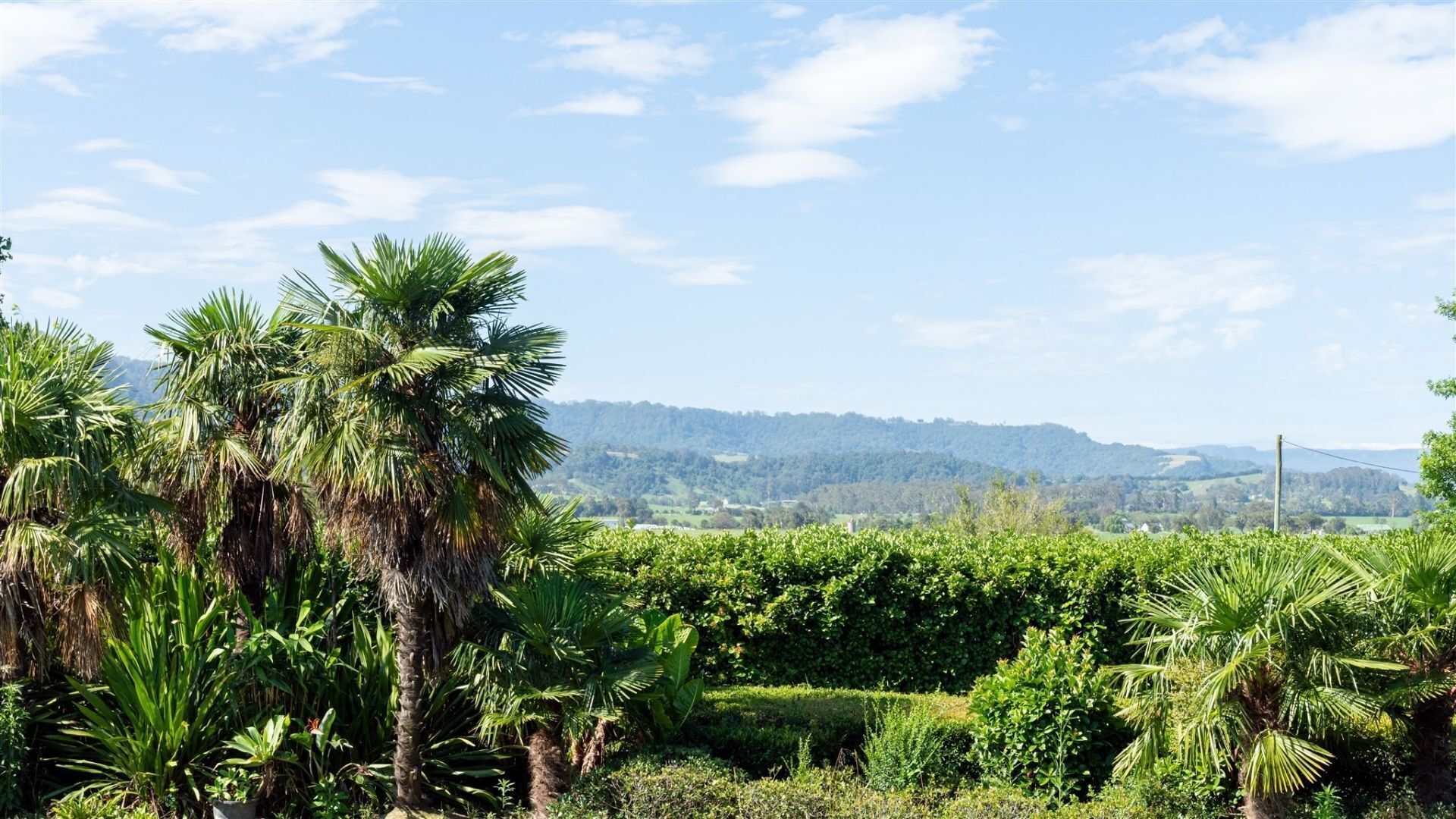 A lush landscape with palm trees and dense greenery, a clear sky, and distant hills.