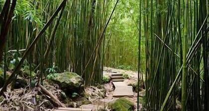 Oceanview Retreat in Puamana – Steps from the Beach & Surf