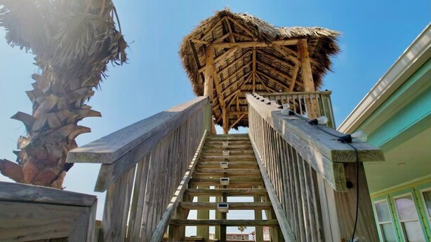 A wooden staircase leading to a thatched-roof structure with a palm tree nearby. - La Palapa whole house at pedestrian beach! Surfside Beach Texas! (Freeport)