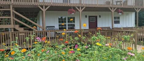 Majoituspaikan julkisivu