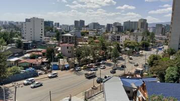 Luxury Apartment, Balcony, City View | Terrace/patio