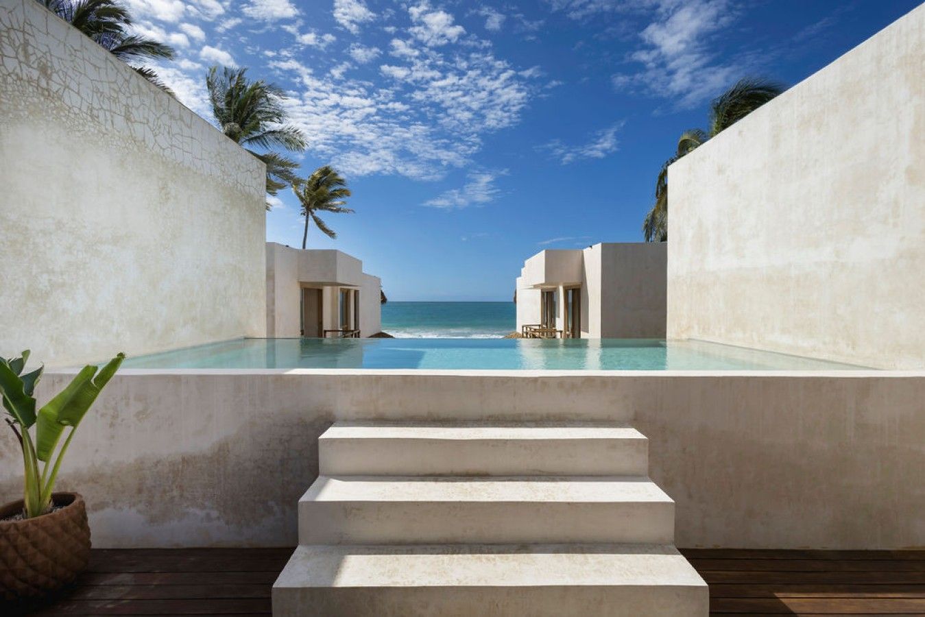 A resort pool with a view of the ocean, surrounded by palm trees and a clear sky.