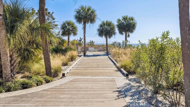 A wooden boardwalk leading through a natural area with palm trees and shrubs. - Charming Condo Overlooking Pool, Minutes to Beach! (Hilton Head Island)