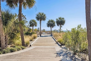 A wooden boardwalk leading through a natural area with palm trees and shrubs. - Charming Condo Overlooking Pool, Minutes to Beach! (Hilton Head Island)