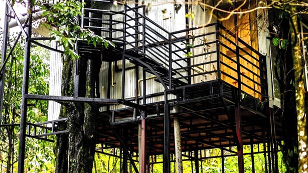 A treehouse with a spiral staircase, surrounded by dense foliage. - Khachoe Residency, Ravangla (Namchi)