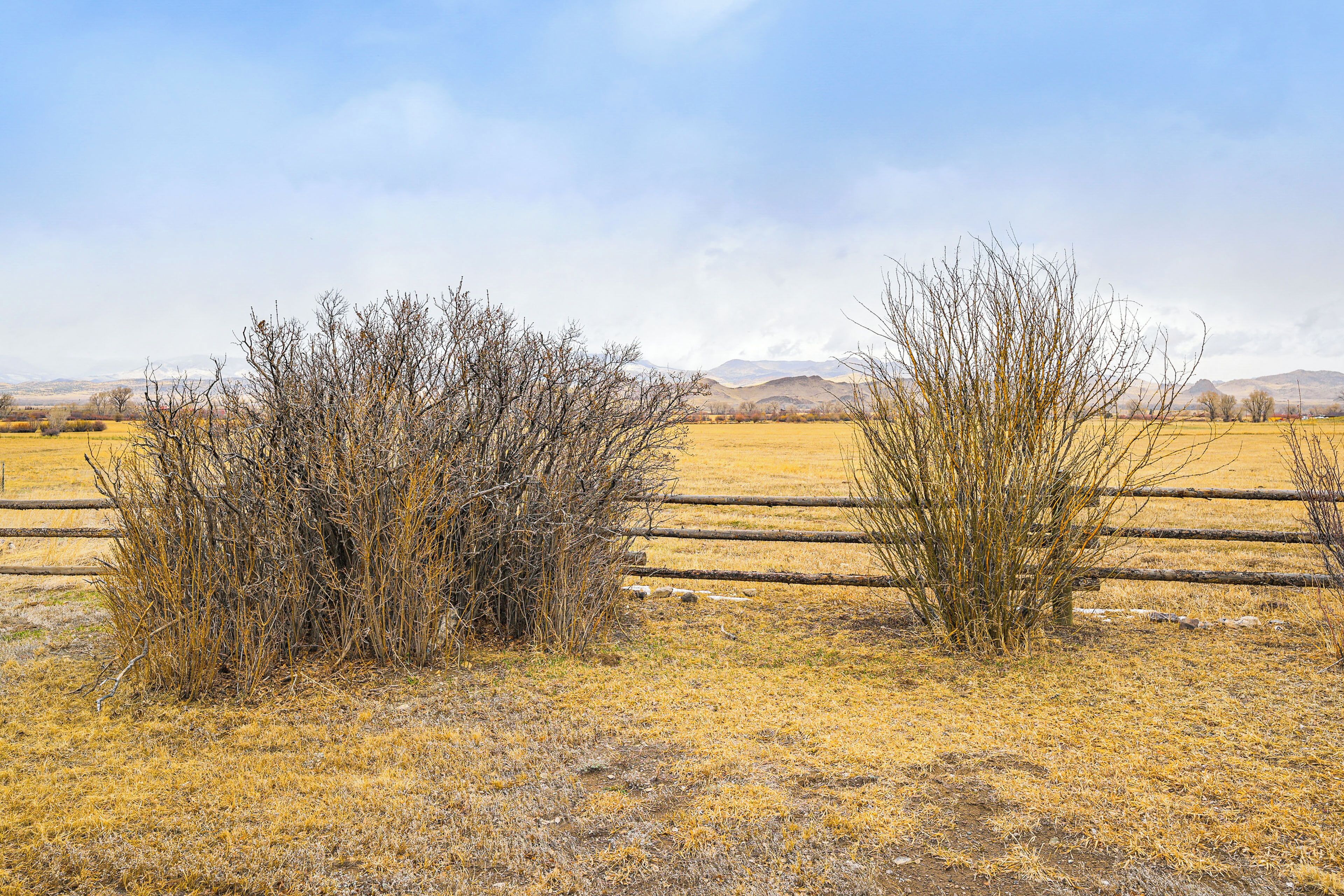 A dry, grassy field with a wooden fence and leafless bushes.