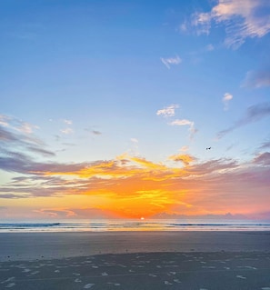 Beach nearby - Stunning 3/2 Corner Condo | Oceanwalk 8-507 | Coastal Paradise! (New Smyrna Beach)