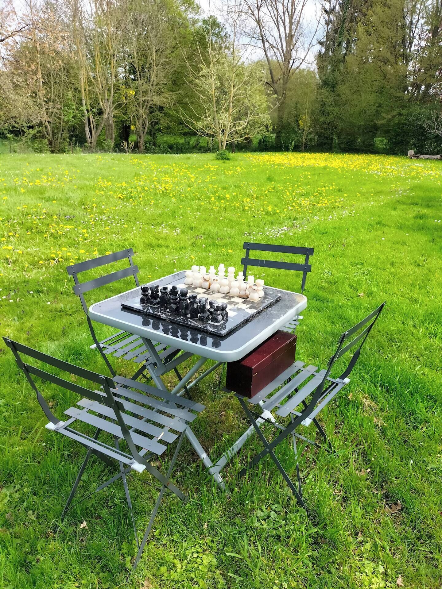 Schaakbord op een buitentafel met metalen stoelen, omringd door een grasveld en bomen.