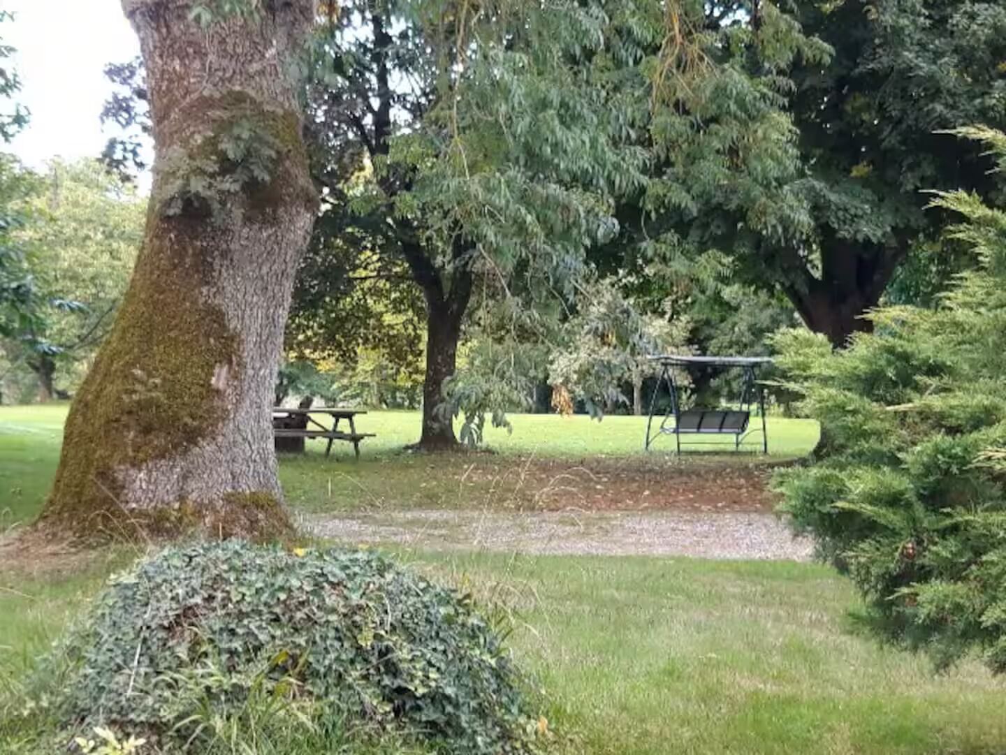 A park with a picnic table, a swing set, and a large tree.