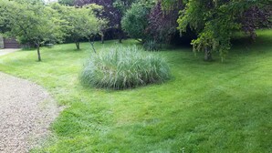 Een verzorgde tuin met diverse bomen en een grasveld met hoog gras.