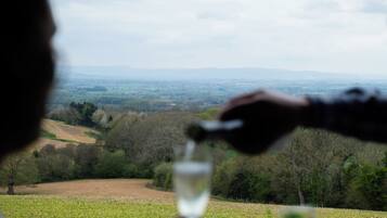 Une personne tenant un verre d’eau, avec en arrière-plan un paysage pittoresque d’une vallée et de collines.