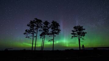 En natthimmel med stjärnor och norrsken.