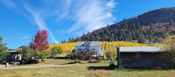 Pamplemousse Farm Stay