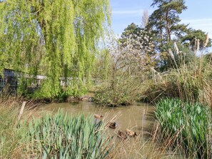 المنشأة من الداخل