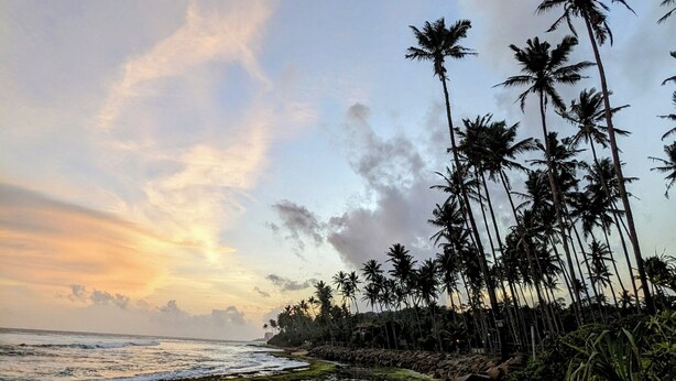 Unclassified image, 1 of 33, button - Losu Polhena  (Matara)