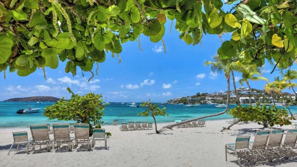 A beach with lounge chairs and a clear view of the ocean.