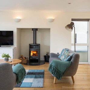 TV, fireplace, books, stereo - Harrier Lodge | Lakeside, Spa, Hot Tub, Family Fun (Somerford Keynes)