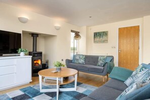 Televisio, takka, kirjoja, stereot