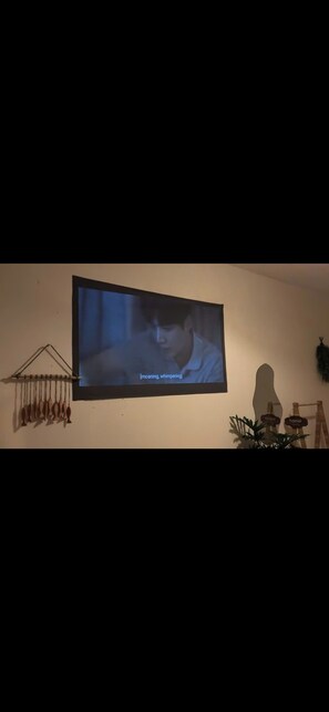 Fernseher