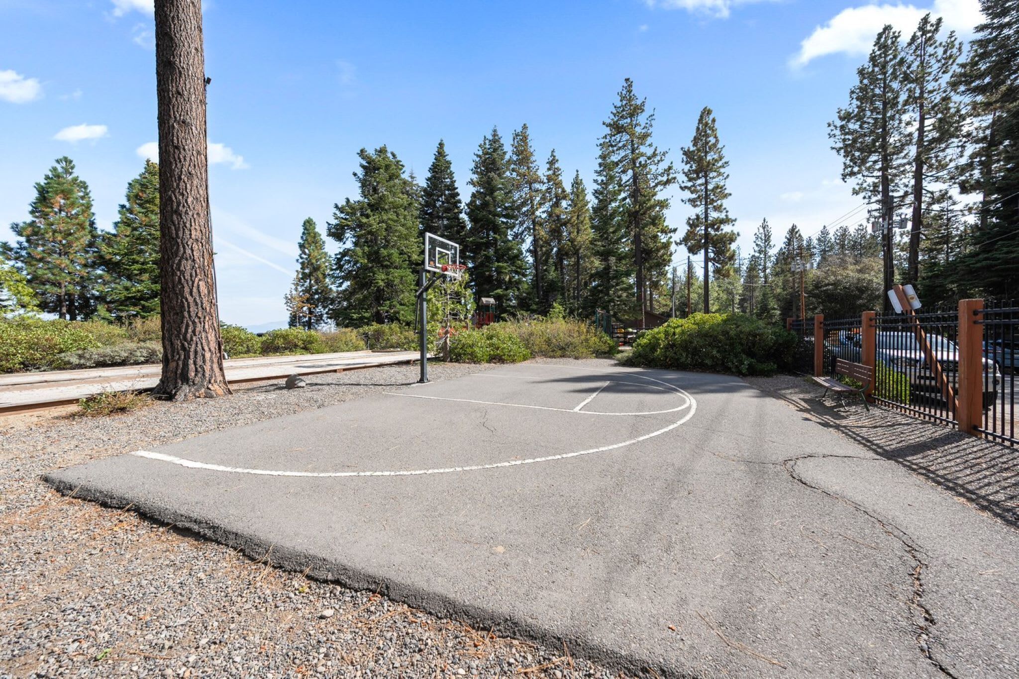 Una cancha de baloncesto con aro, rodeada de árboles y una valla.