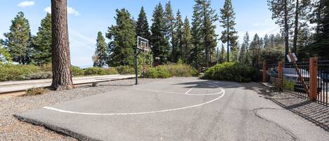Una cancha de baloncesto con aro, rodeada de árboles y una valla.