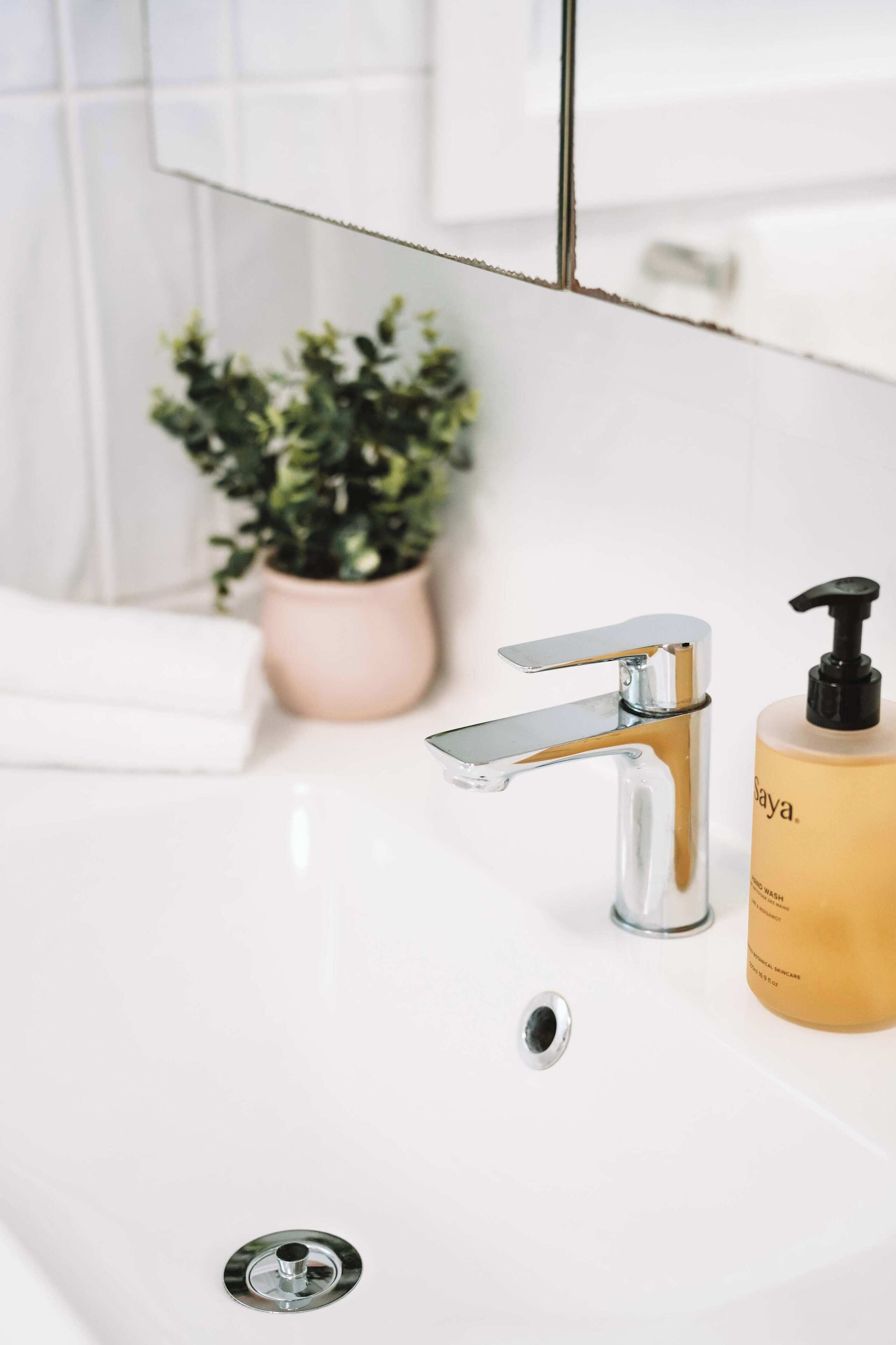 Un lavabo de salle de bain avec un robinet chromé, une plante en pot et une bouteille de shampoing.