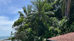 A rooftop pool with a wooden deck, surrounded by lush greenery and a view of the ocean. - POUSADA AROEIRA (Cairu)