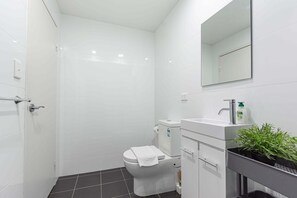 Shower, hair dryer, towels, shampoo