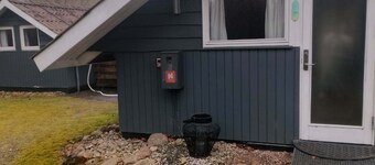 Perfect for small families with dogs.