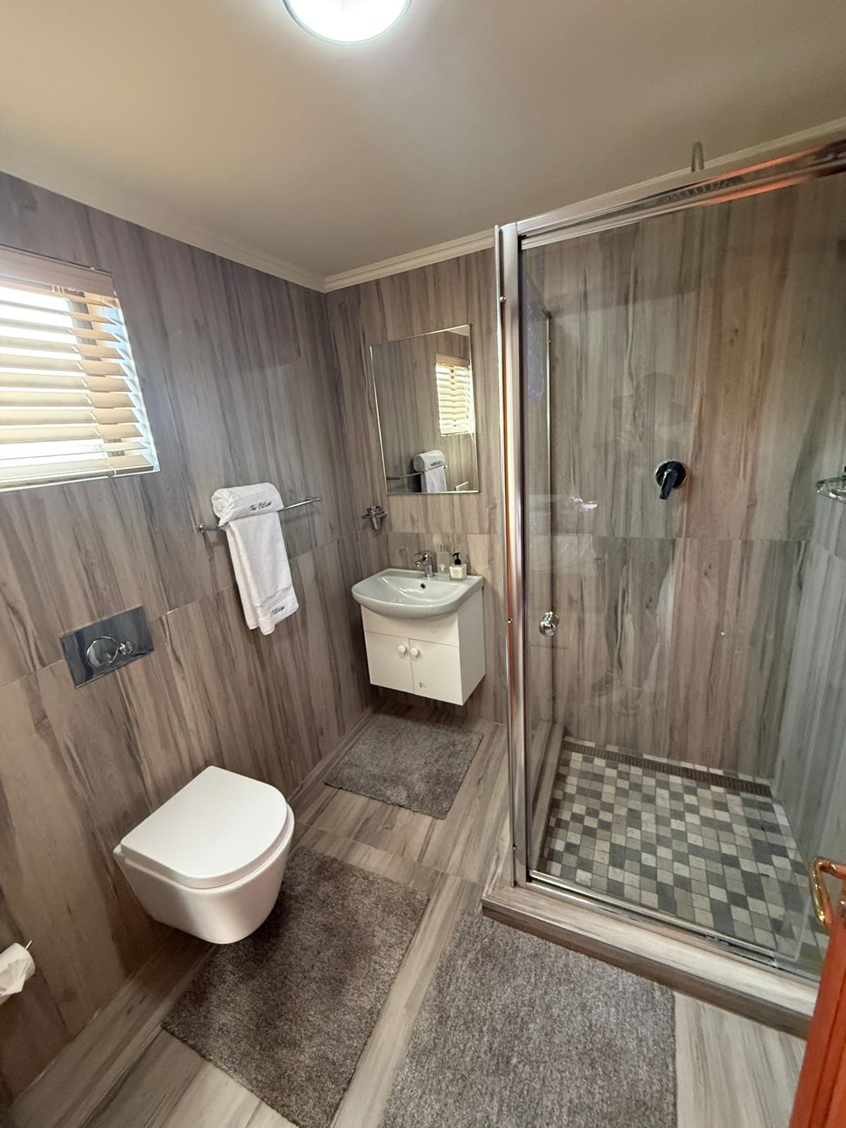 Un baño con inodoro, lavabo y zona de ducha.